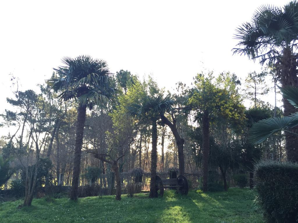 Agro Da Gandarela Bed & Breakfast Teo